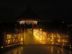 大濠公園のイルミネーション⑧