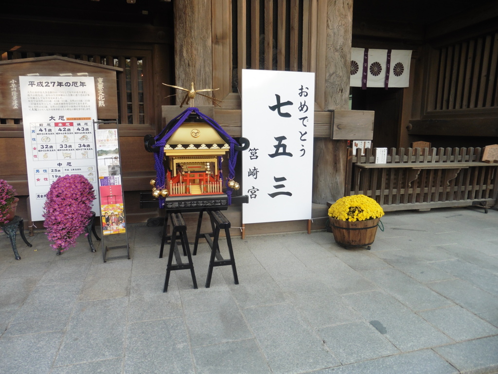 おめでとう七五三①