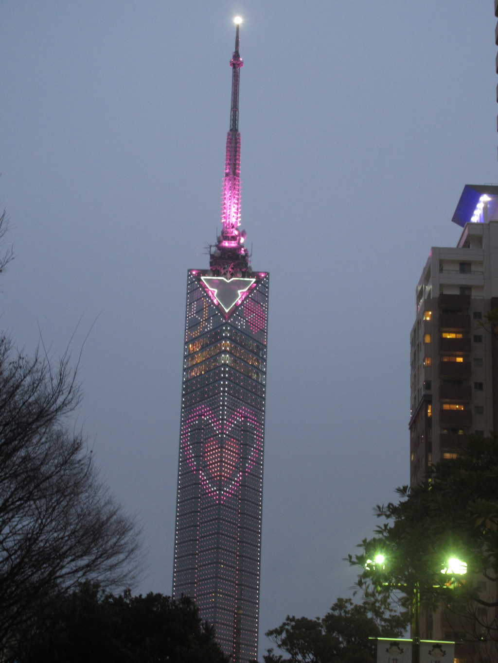 福岡タワーライトアップ①