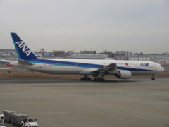 ANA　B777-300到着