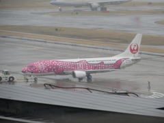 羽田国内線ターミナルより①