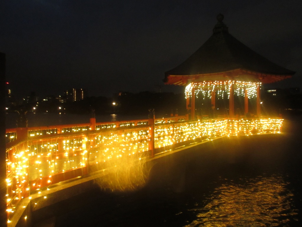 大濠公園のイルミネーション⑦