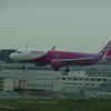 PEACH  A320neo  福岡空港ランディング