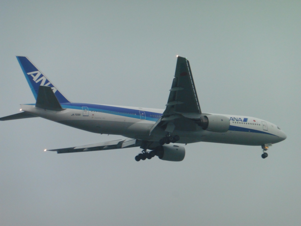 ANA　B777-200着陸