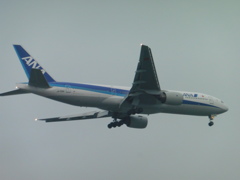 ANA　B777-200着陸