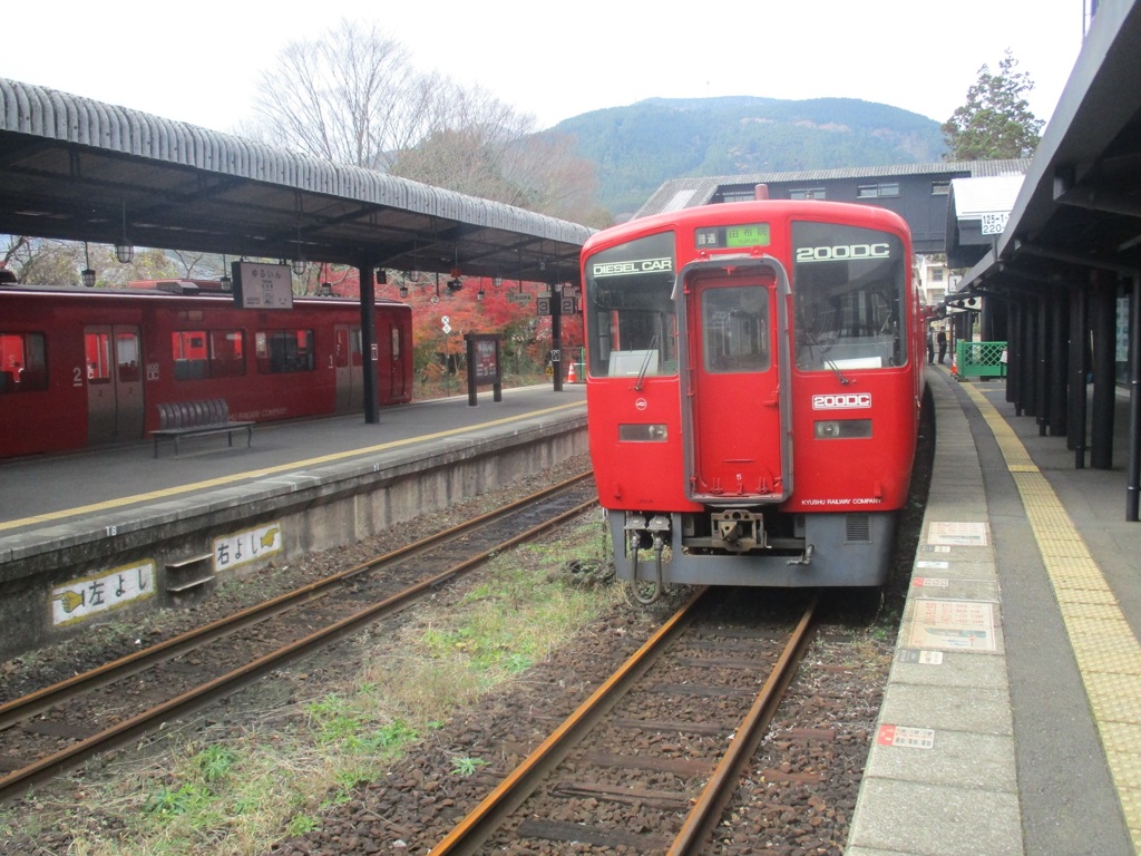 湯布院駅の閉じ込められた車両たち　④