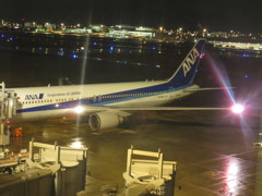 ANA　B767のストロボ試験