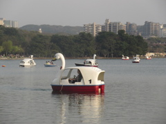 大濠公園にて　①