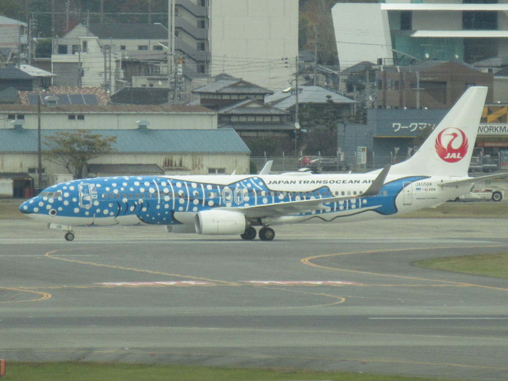 先日福岡空港にて　トランスオーシャン　737-800  ジンベイジェットです。