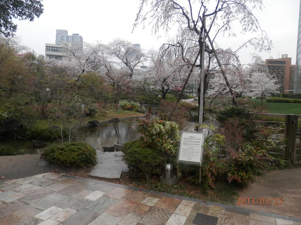 雨の毛利庭園