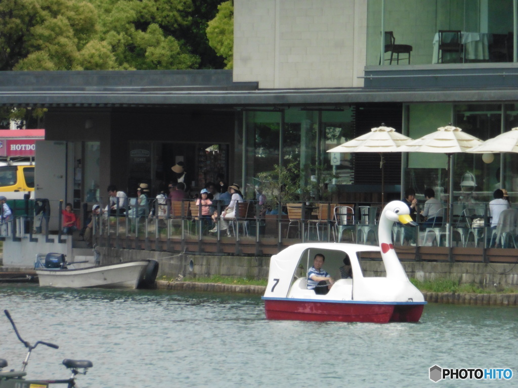 日曜の大濠公園③
