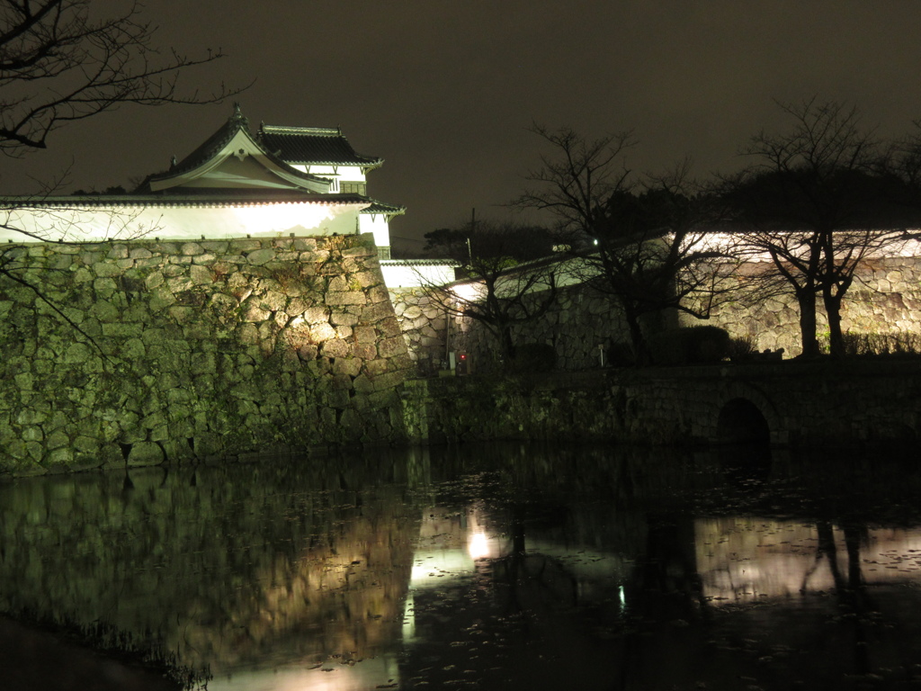 福岡城ライトアップ②