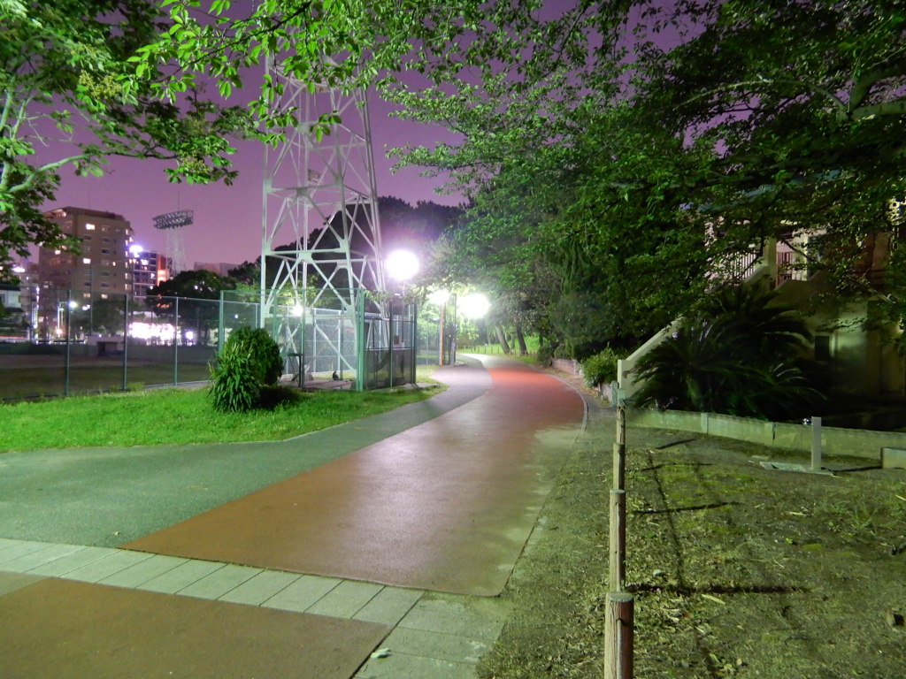 夜の公園　①