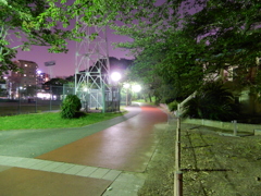 夜の公園　①
