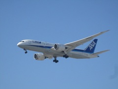 着陸　ANA  JA812A　福岡空港にて