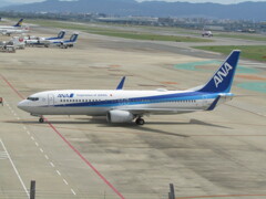 ANA　福岡空港にて　⑦