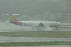 大雨の空港にて⑦