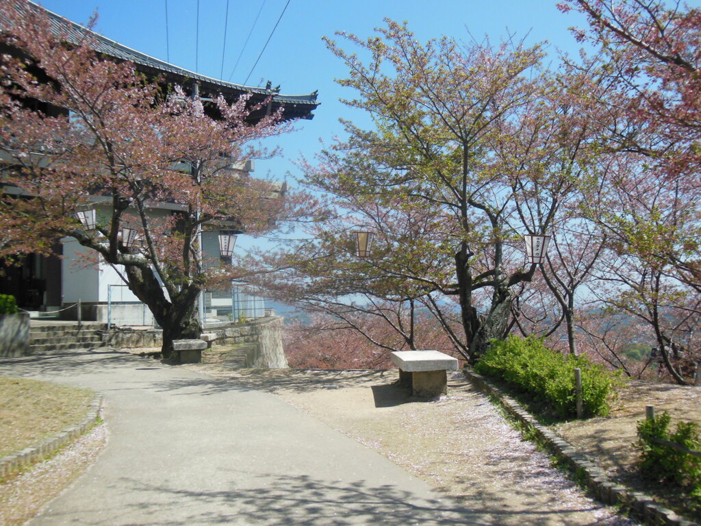 尾道千光寺公園　②