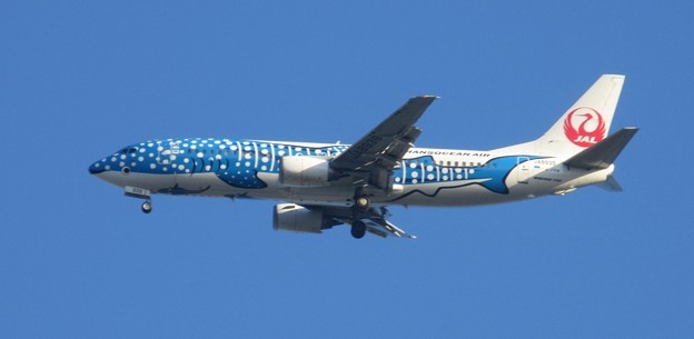 空飛ぶジンベエ　１