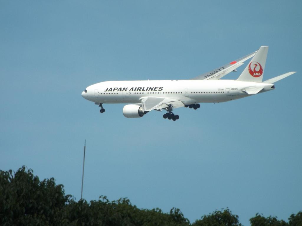 JAL　B777-200のサークリングアプローチ