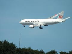JAL　B777-200のサークリングアプローチ