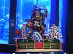子供山笠