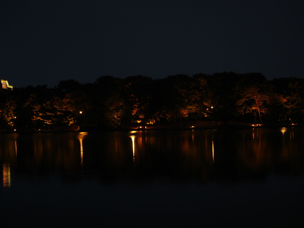 夜の大濠公園　①