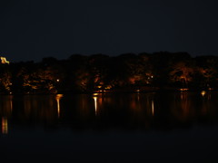 夜の大濠公園　①