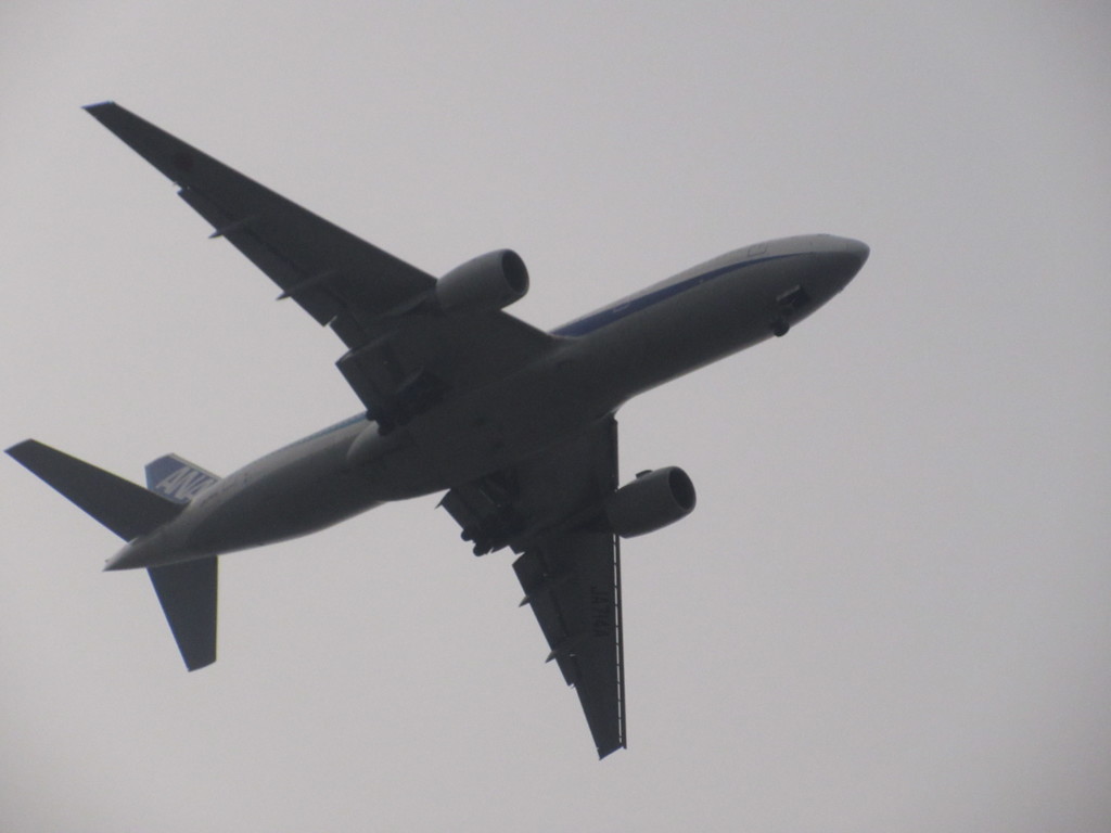 ANA　B7アプローチ