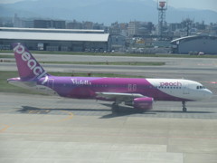 PEACH  Violet Rune  ②