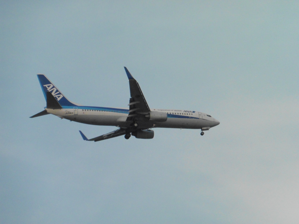 ANA  B737-800着陸