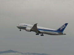 ANA   B787-8  JA810A