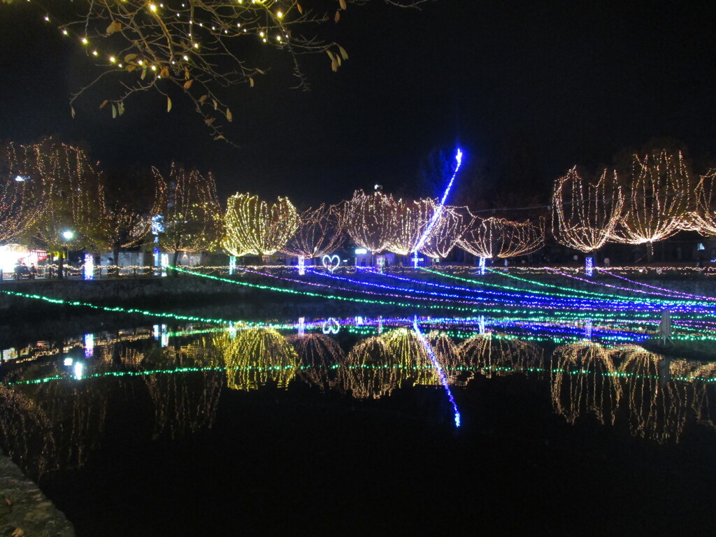 佐賀県鳥栖市中央公園のイルミネーション　㉒