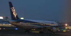 ANA 767-300