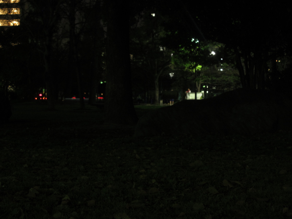 夜の公園②