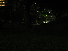 夜の公園②