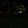 夜の公園②