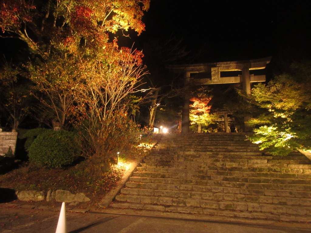 神社の紅葉とイルミネーション①