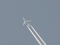 上空を通過する飛行機雲