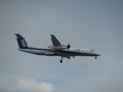 ANA  DHC8-Q400　ランディング