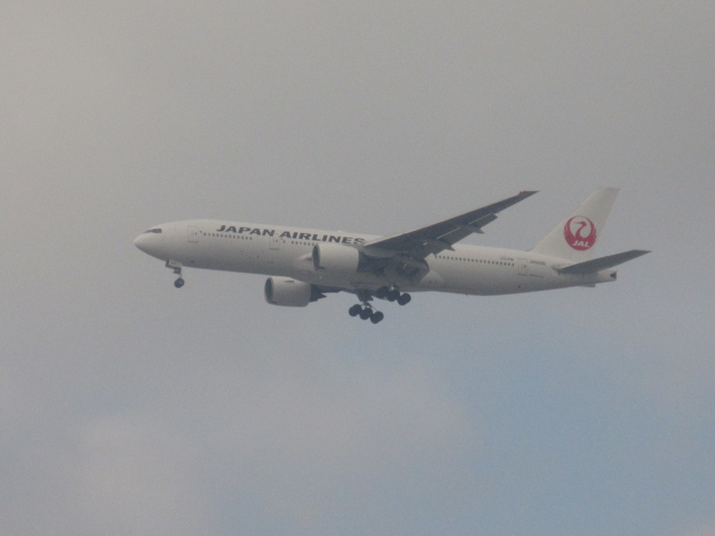 遠方から写したJAL