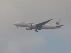 遠方から写したJAL