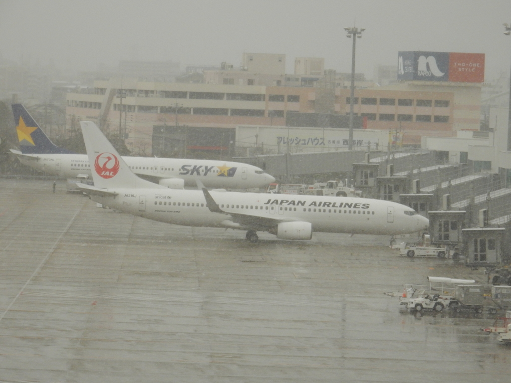 雪の福岡空港　⑨