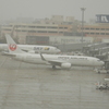 雪の福岡空港　⑨