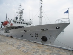 韓国籍の船①