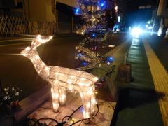 トナカイさんとイルミネーション②