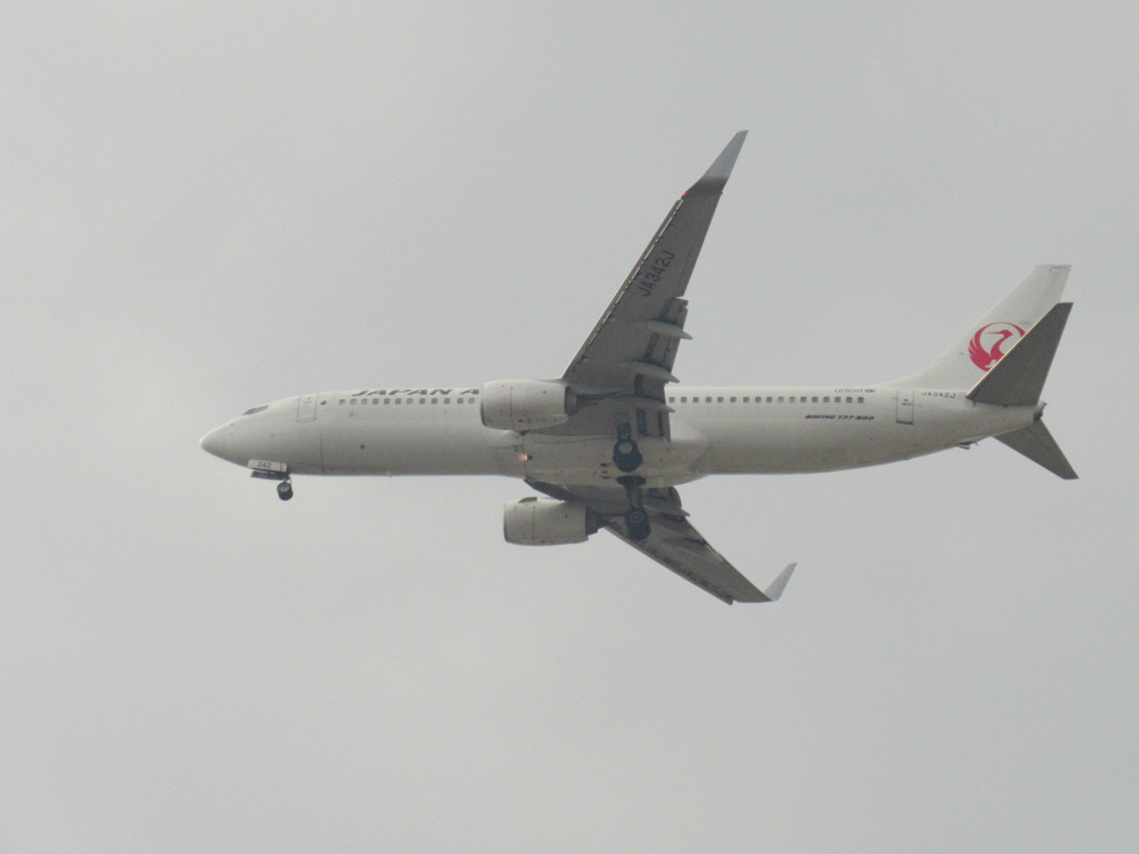 福岡アプローチ　JAL 737-800