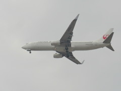 福岡アプローチ　JAL 737-800