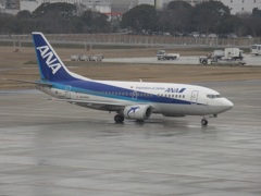 ANA  737-500  JA8504