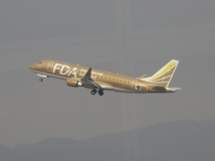 離陸　FDAゴールド